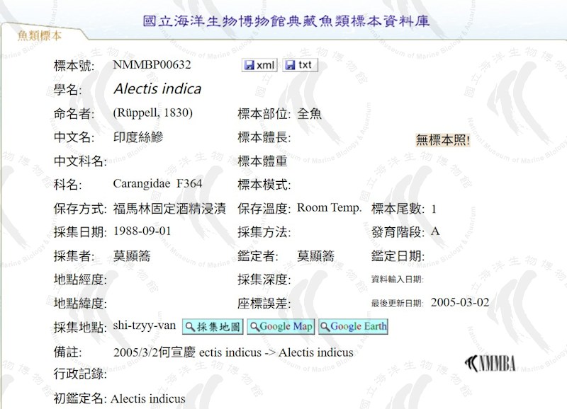 多媒體無法正常顯示