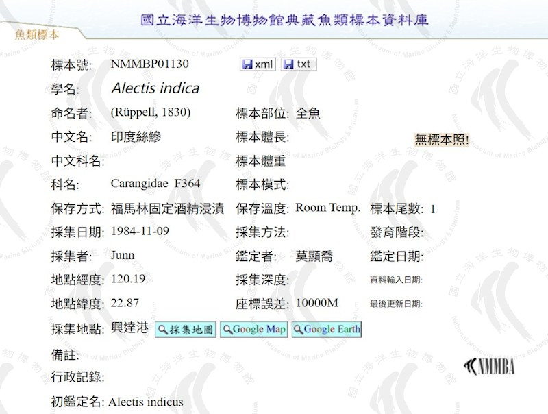 多媒體無法正常顯示